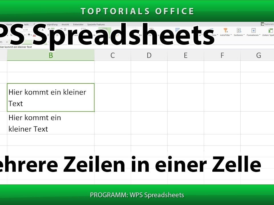 Vorschaubild Zeilen und Spalten Ausblenden in WPS Spreadsheets