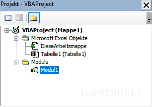Excel VBA Projekt Manager mit Modul