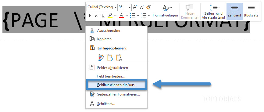 Microsoft Word Feldfunktionen ein aus