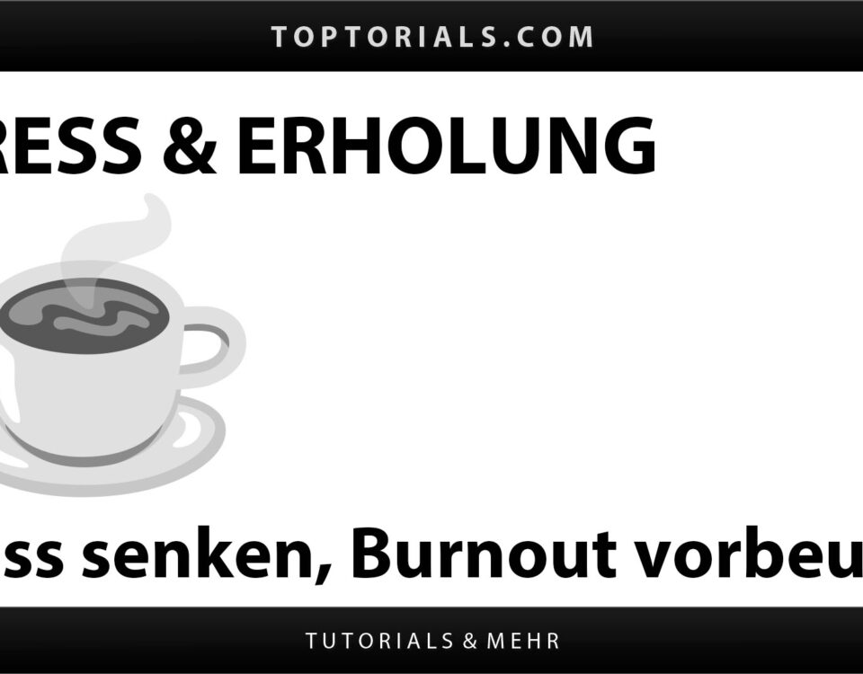 Stressmanagement und Burnout-Prävention