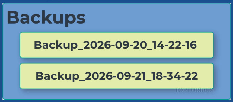 Backups Ordner mit Backup